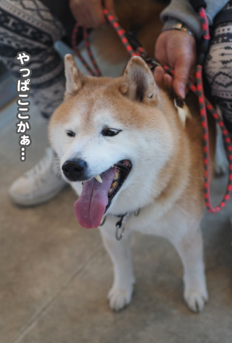 30日夕ブログ５