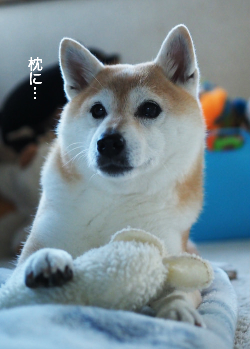 12日ブログ５