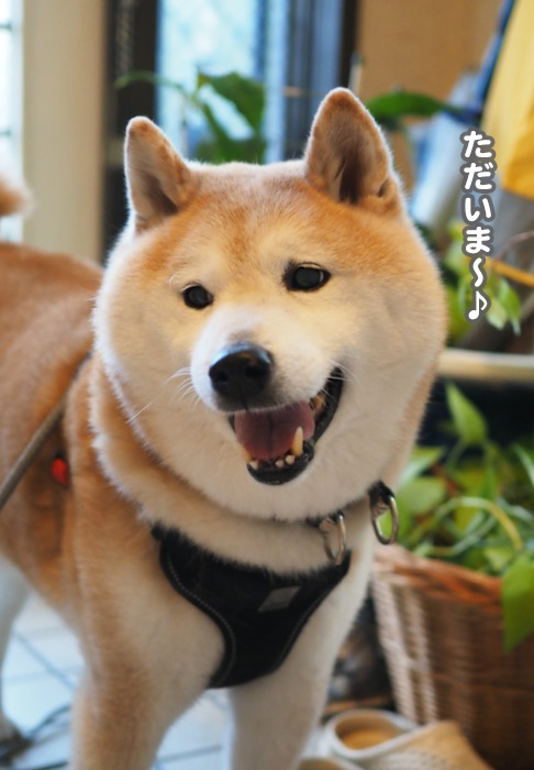 22日夕ブログ２