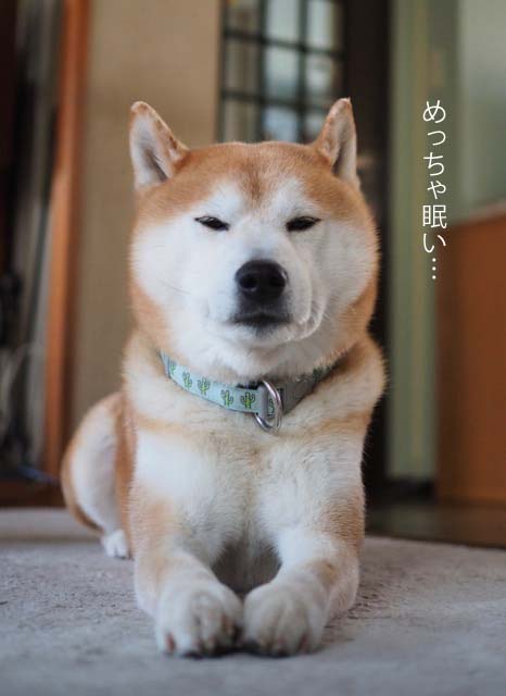 31日ブログ４