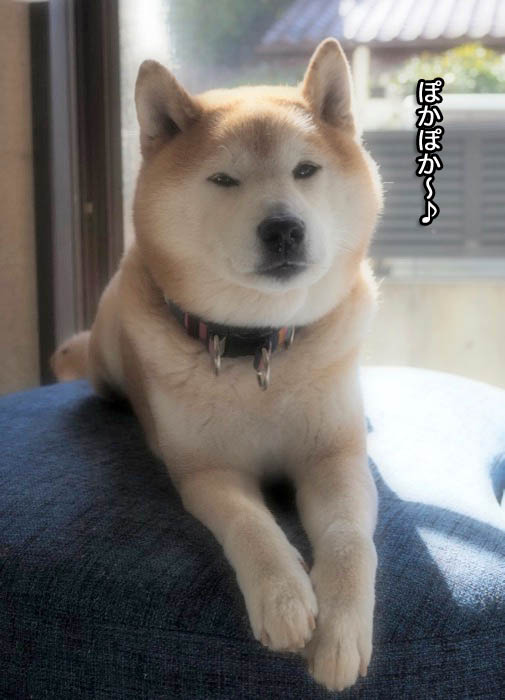 16日ブログ２