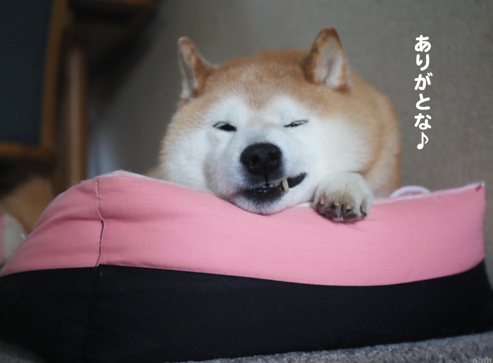 4日ブログ７