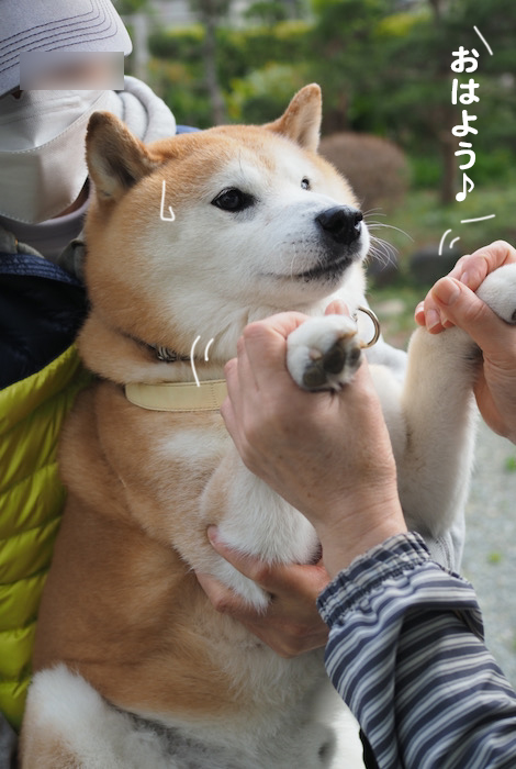 30日午後ブログ１０