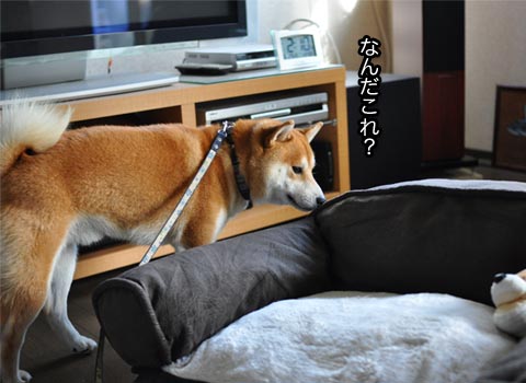 5日ブログ10.jpg