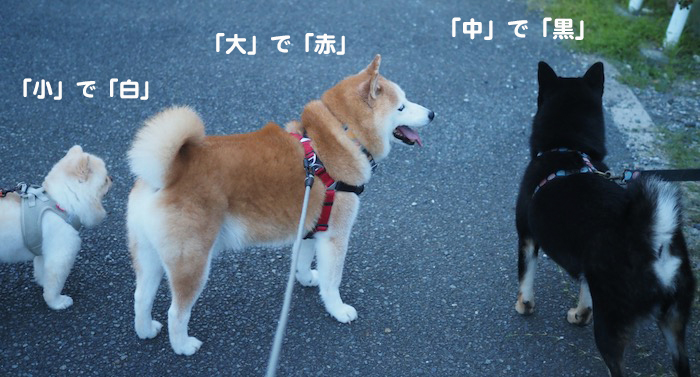 12日ブログ４