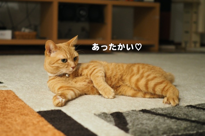 3日ブログ５