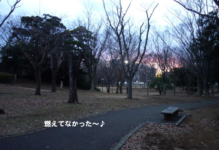29日夕ブログ２