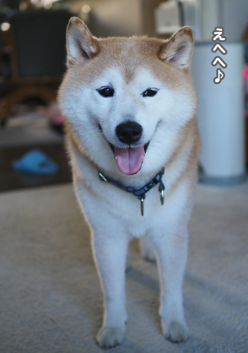 13日ブログ4