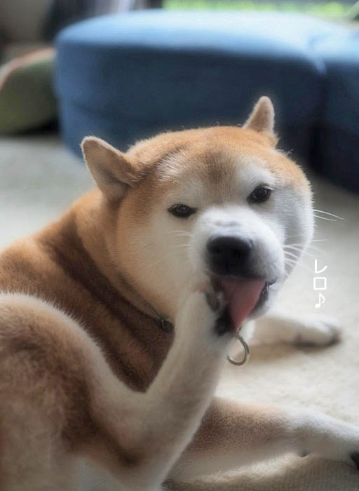 22日ブログ５