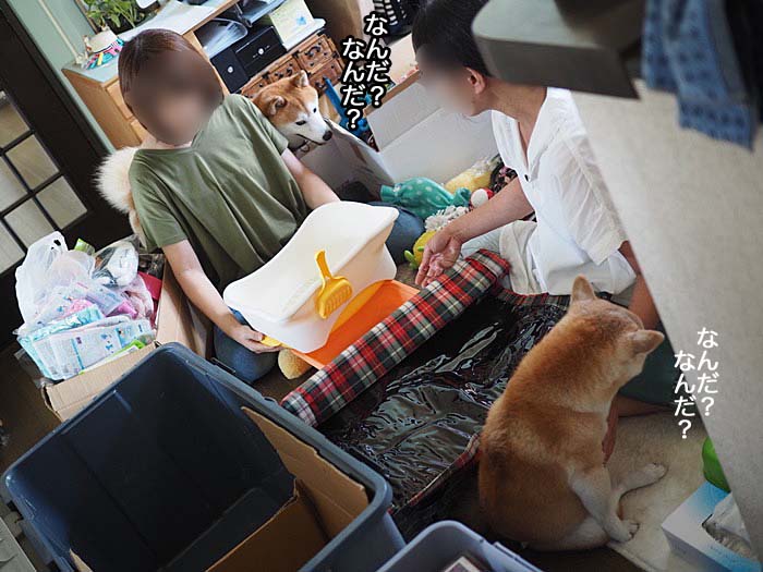 1日ブログ５