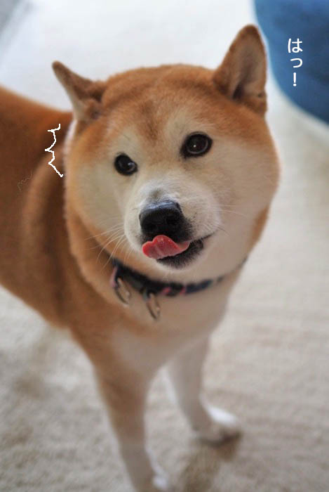 30日ブログ２