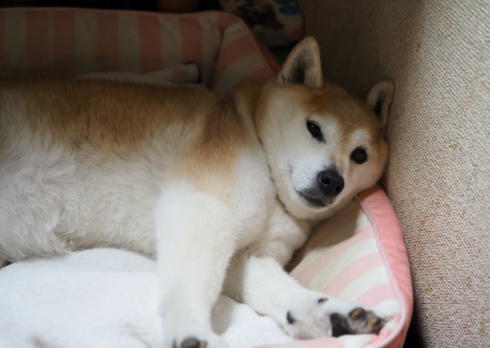 6日夜ブログ３