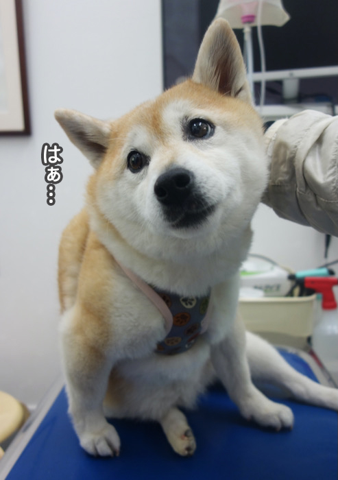 23日夜ブログ４