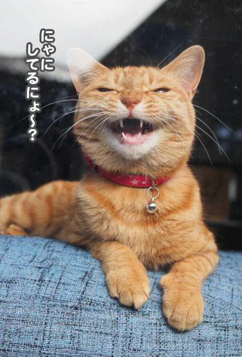 28日夕ブログ３