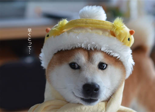 10日ブログ7.jpg