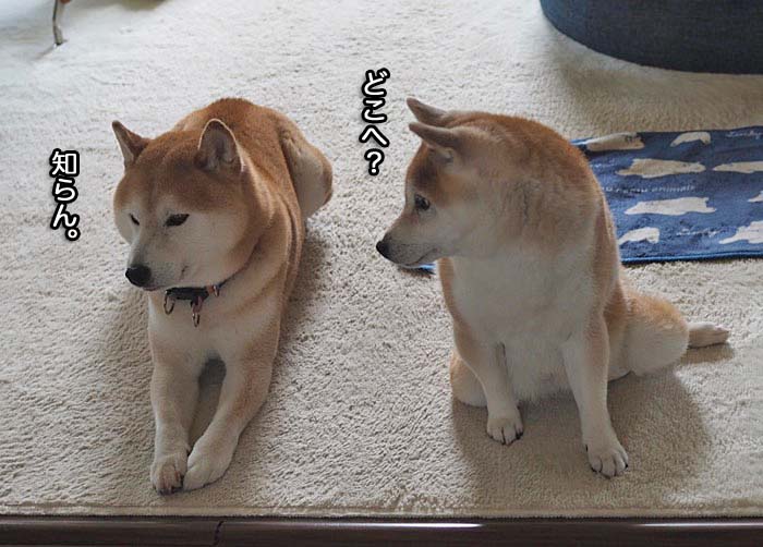 3日ブログ２