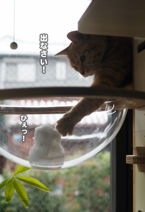 7日ブログ６