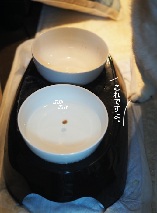 30日夜ブログ４