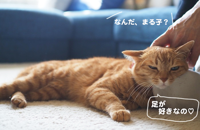 6日夕ブログ３