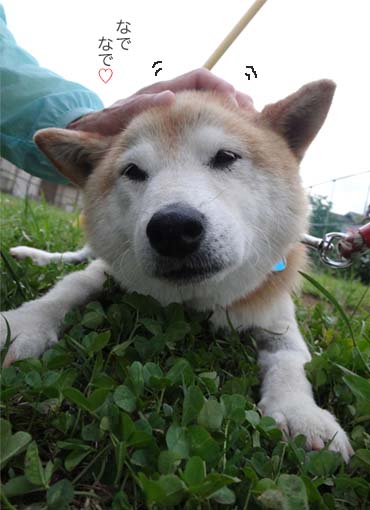 30日ブログ8.jpg