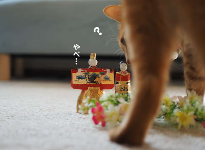 3日ブログ３