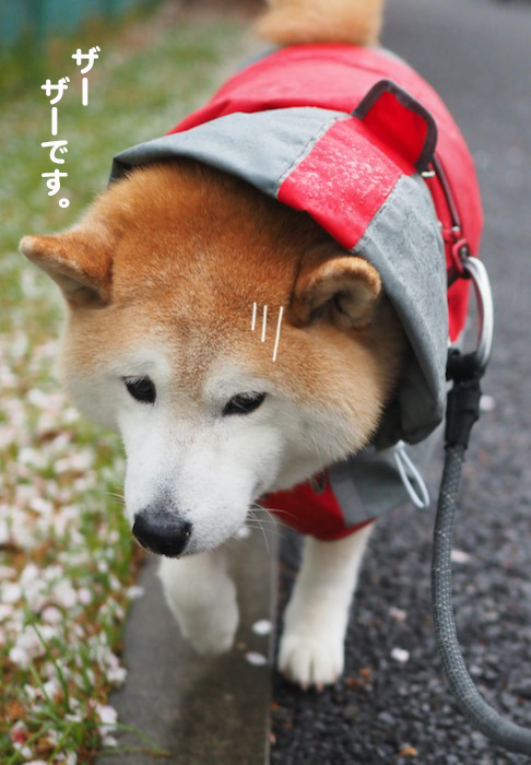 7日夜ブログ４