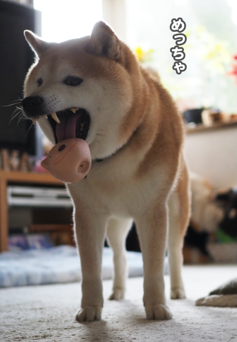 8日夜ブログ６
