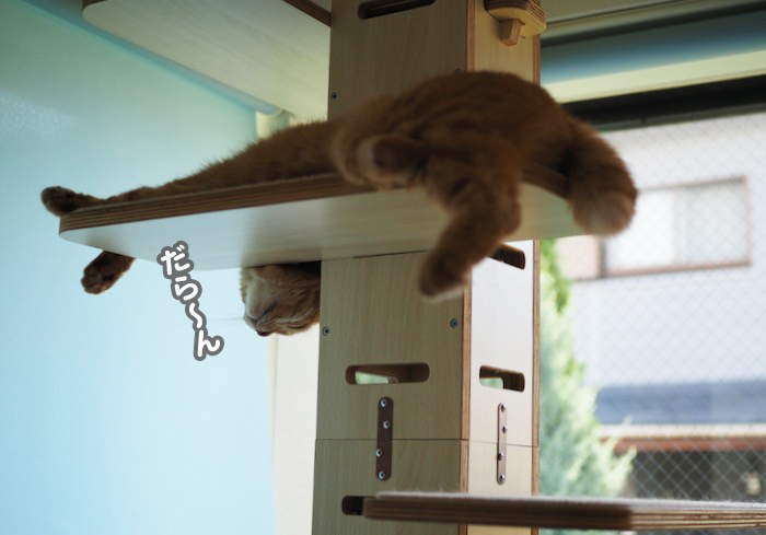 18日夕ブログ６