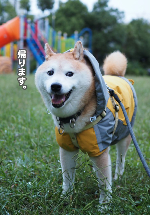 5日夜ブログ５