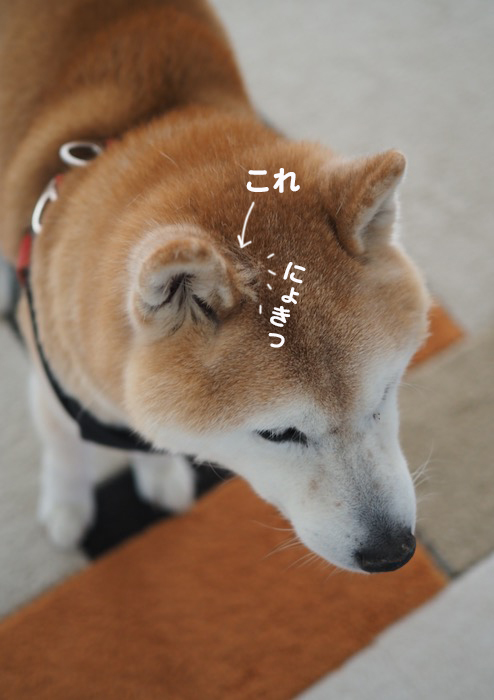 18日夕ブログ３