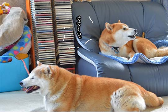 29日ブログ7.jpg