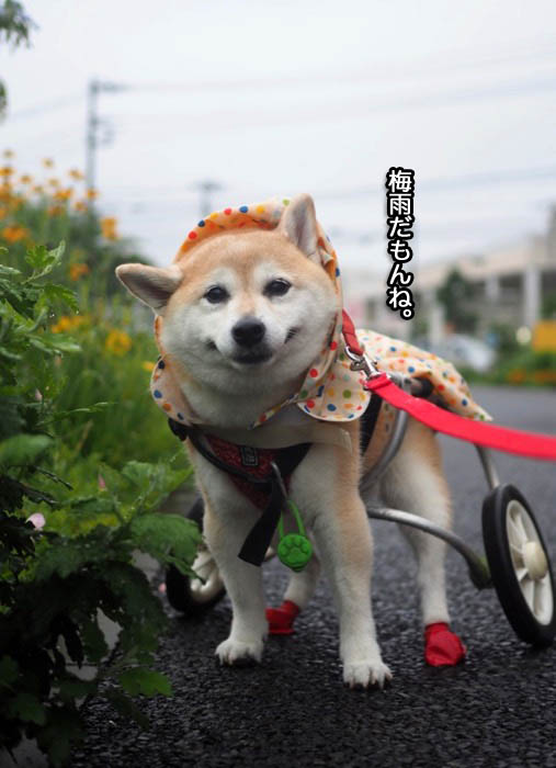 5日夕ブログ９
