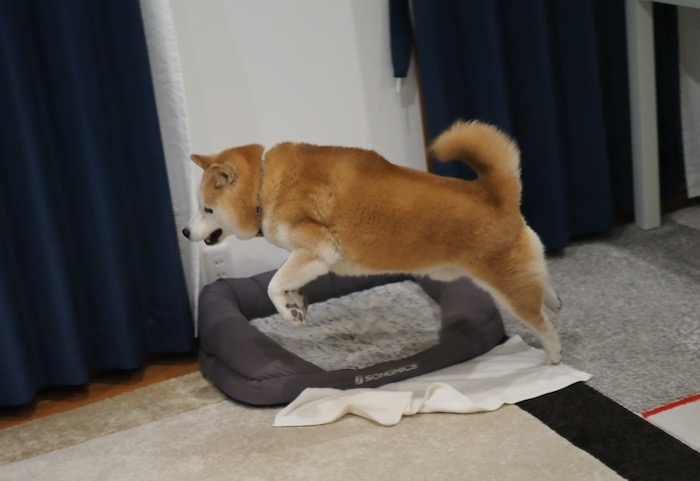22日夕ブログ２８