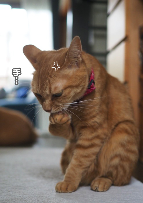 7日夕ブログ５