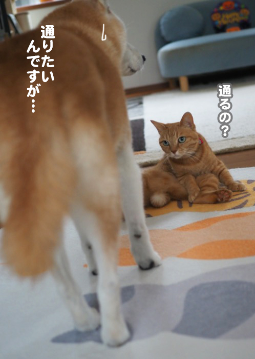 19日ブログ４