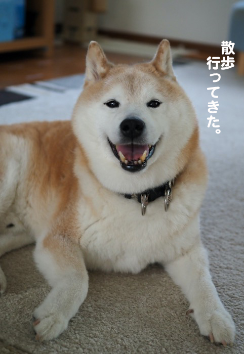 29日夕ブログ２