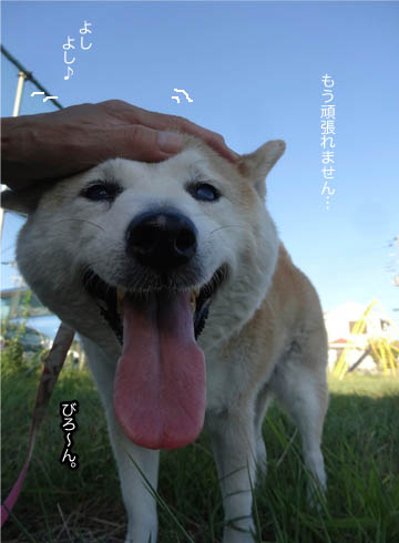 8日ブログ8.jpg