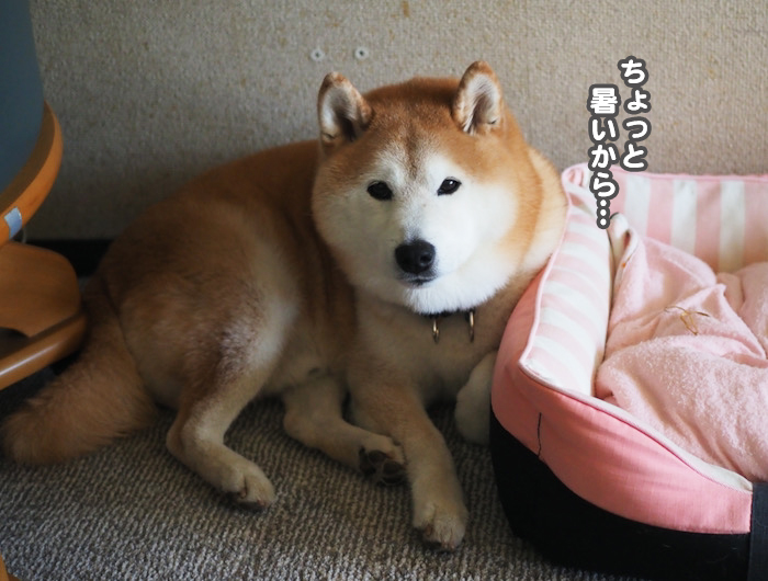 3日ブログ３