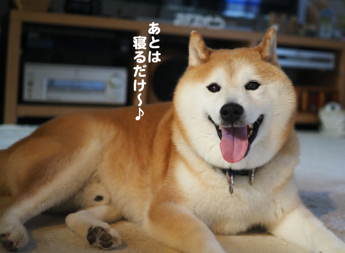 20日夜ブログ４
