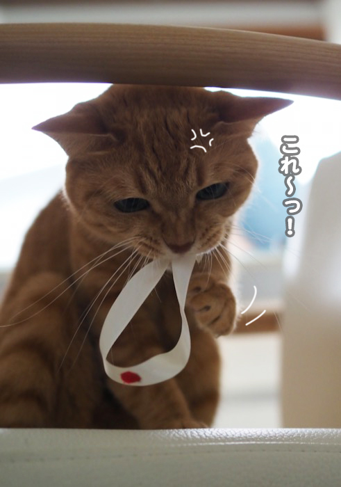 20日ブログ４