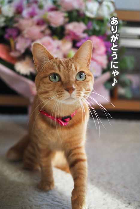 7日ブログ６