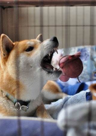 17日ブログ7.jpg