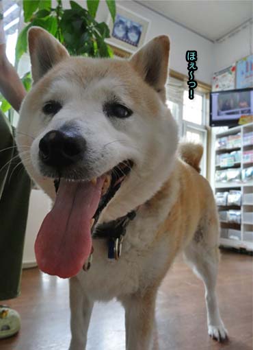 29日ブログ7.jpg