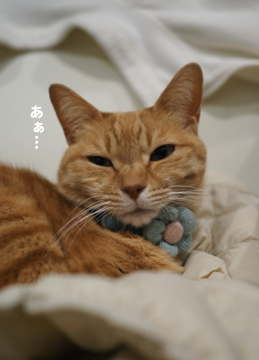 13日夜ブログ２