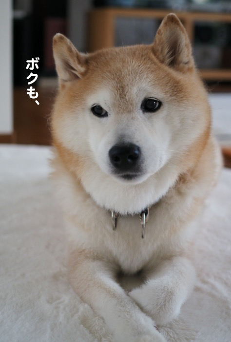 28日ブログ１