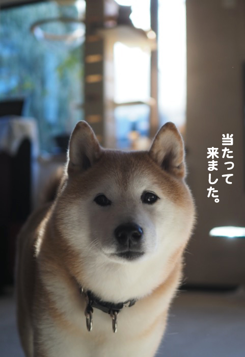9日ブログ２