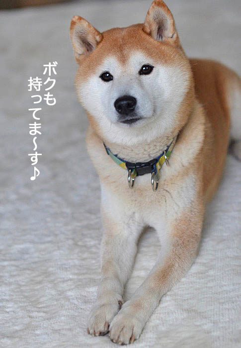 13日ブログ8