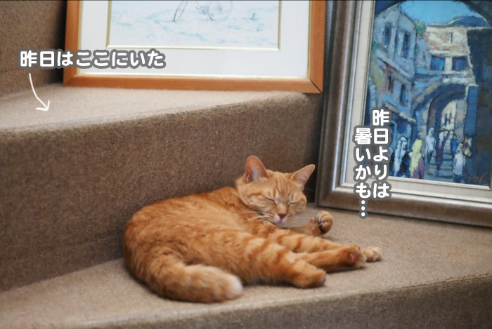 26日夕ブログ４