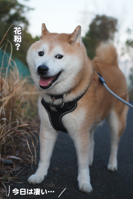 1日夕ブログ３