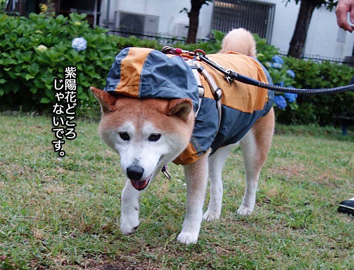 3日夜ブログ２